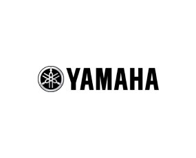 Yamaha FZ 25 (Fazer 250)