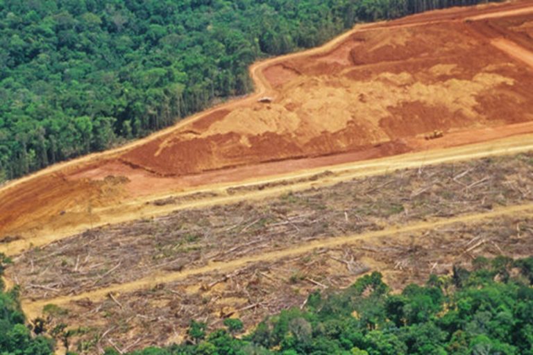 Devastação ambiental