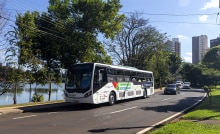 99 e BYD avançam para trazer 300 veículos elétricos em São Paulo