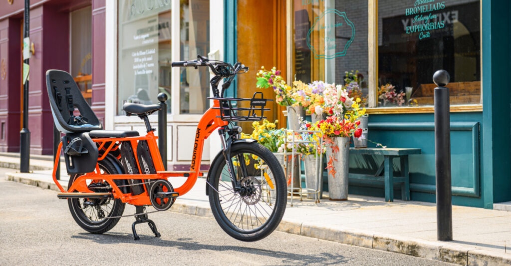 Bicicleta elétrica de carga, GRAOOPRO