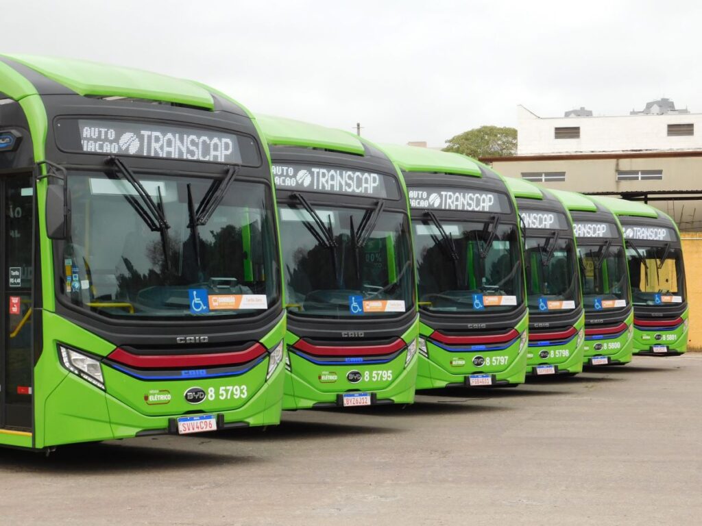 Ônibus elétricos da BYD comprados pela Viação Transcap. Foto: Viação Transcap